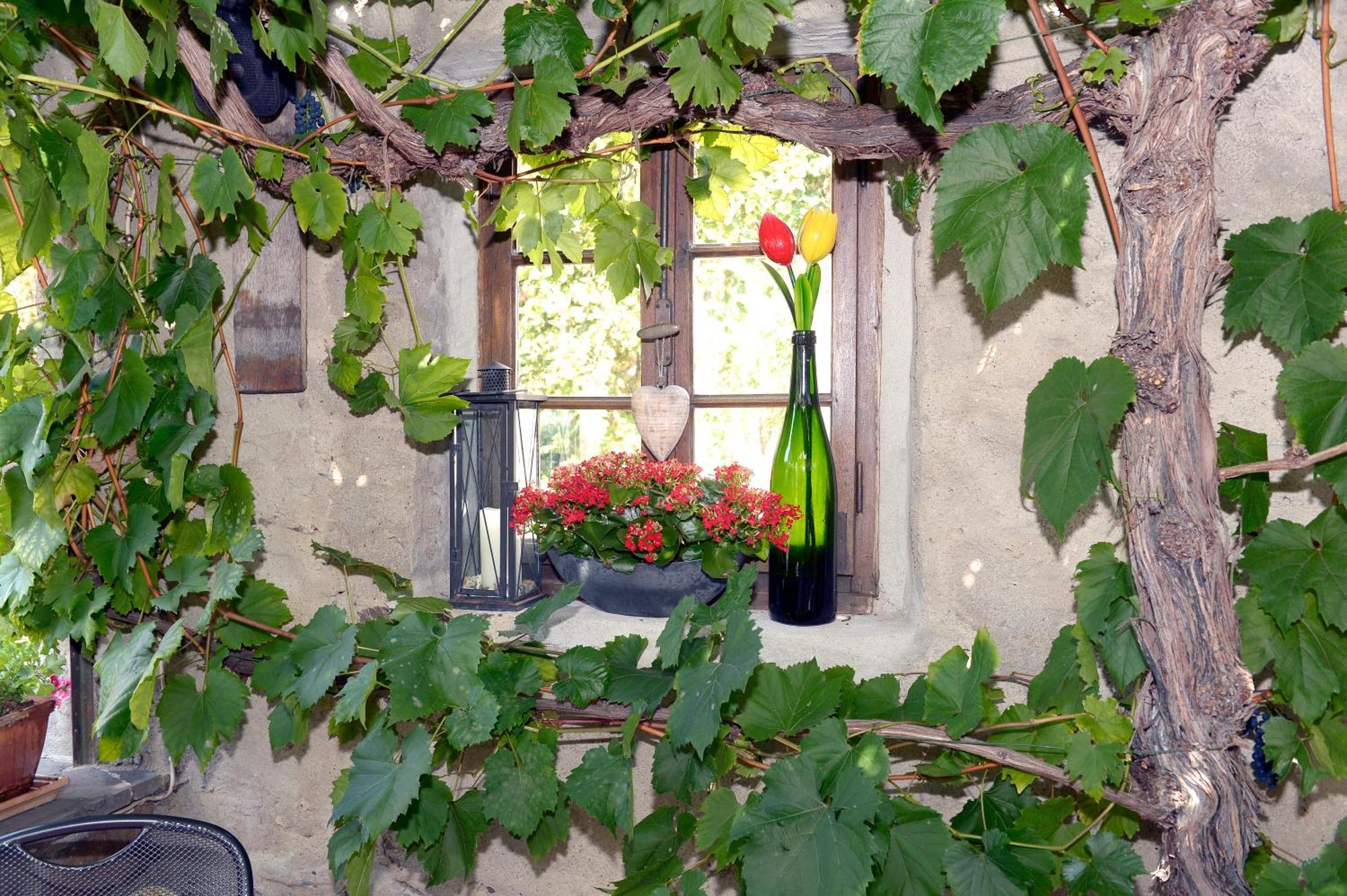Wein- Und Gaestehaus M. Bai เมเซอนิค ภายนอก รูปภาพ
