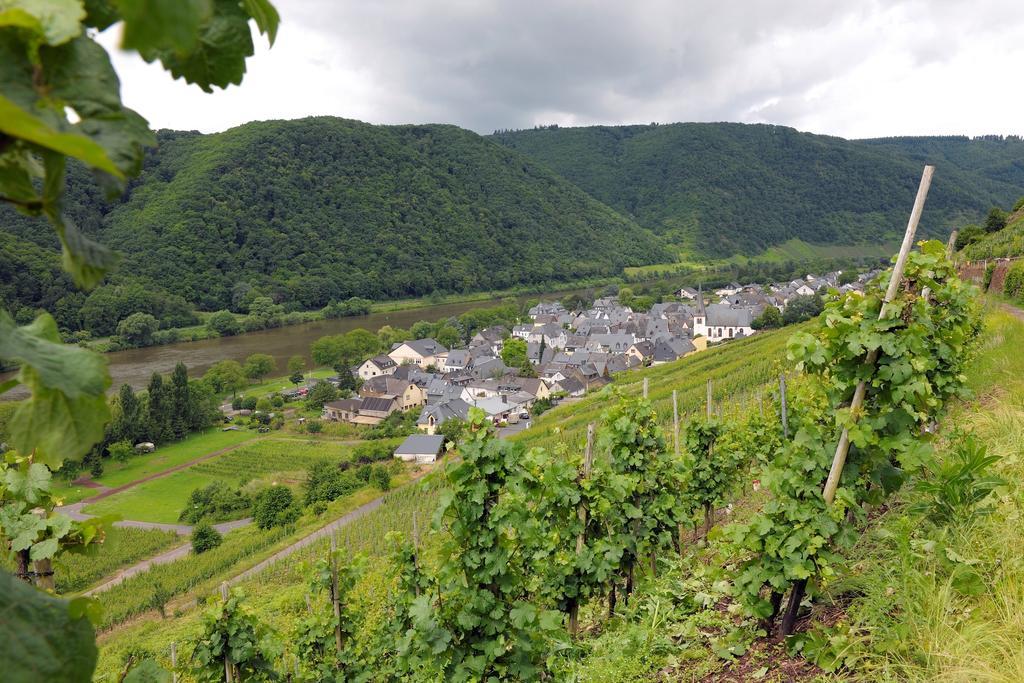 Wein- Und Gaestehaus M. Bai เมเซอนิค ภายนอก รูปภาพ